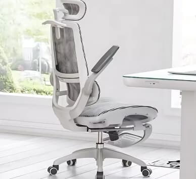 What is the Best Office Chair for Back Pain?
